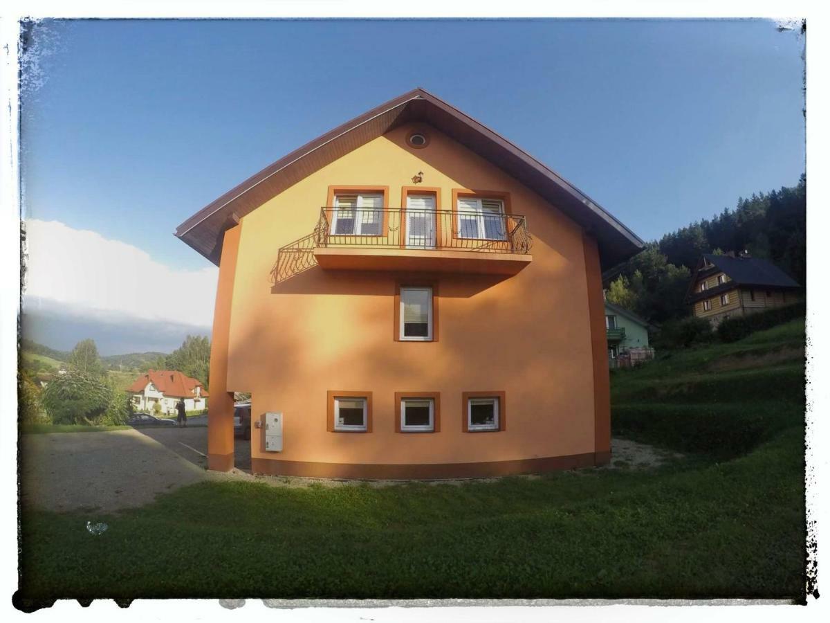 Noclegi U Gosi Ustrzyki Dolne Exterior foto